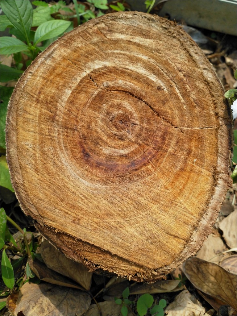 nokiad3