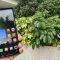 Xiaomi 13 Ultra 評測: 最強效能的旗艦!