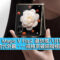 HONOR Magic V Flip2 最快或八月發佈！傳沿用前代外觀、一規格突破細摺極限
