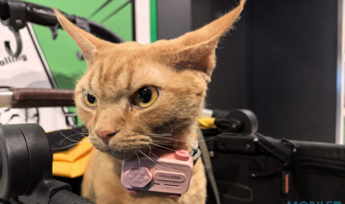 寵物智能手機 PetPhone 正式登陸香港，不過年底先可以買到!