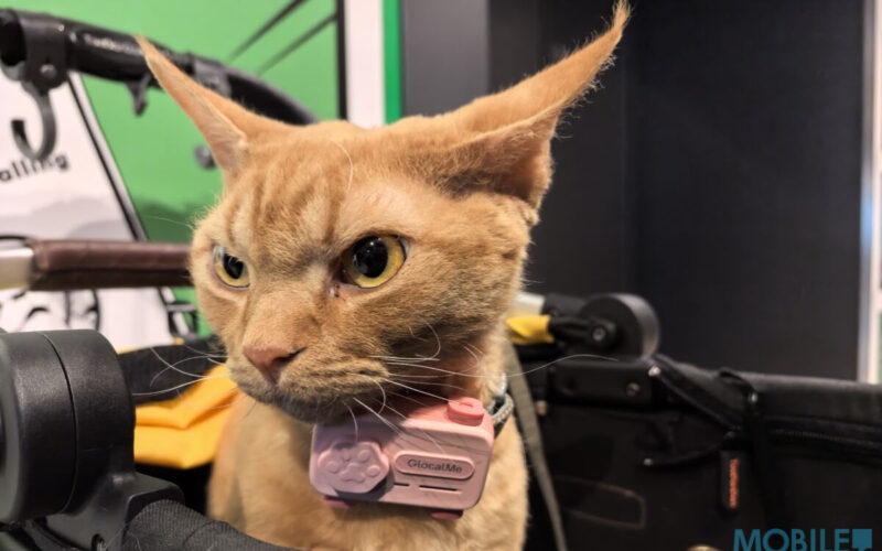 寵物智能手機 PetPhone 正式登陸香港，不過年底先可以買到!