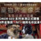 HONOR 600 系列本港正式開售：首創寵物界金像獎，AI 一鍵將毛孩變身電影主角