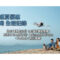 【DJI 優惠 2026】8 月盛夏推廣展開：Mini 5 Pro 限時 9 折、買 Osmo 送 DJI Care、Pocket 3 官方降價!