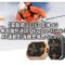 【電腦節 2026】支援 4G 無距離限制通話！RugOne XLink-7 AI 運動對講機登場售 $1,099