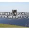 【DJI 限時優惠】入手 DJI Mini 5 Pro 或 Air 3S 航拍機 即送一年 DJI Care!